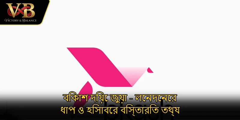 বিকাশ দিয়ে জুয়া - লেনদেনের ধাপ ও হিসাবের বিস্তারিত তথ্য